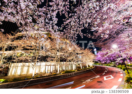 夜桜 ~東京・東京ミッドタウン・8~ 夜桜 ~東京・東京ミッドタウン・8~ 138390509