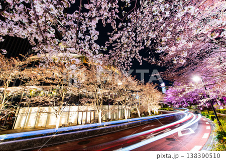 夜桜　～東京・東京ミッドタウン・9～ 138390510