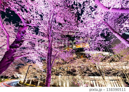 夜桜　～東京・東京ミッドタウン・9～ 138390511