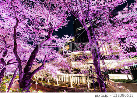 夜桜　～東京・東京ミッドタウン・11～ 138390513