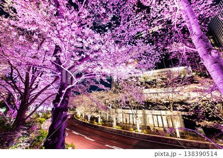 夜桜　～東京・東京ミッドタウン・12～ 138390514