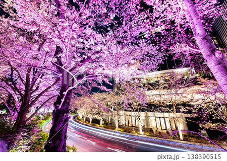 夜桜 ~東京・東京ミッドタウン・13~ 夜桜 ~東京・東京ミッドタウン・13~ 138390515
