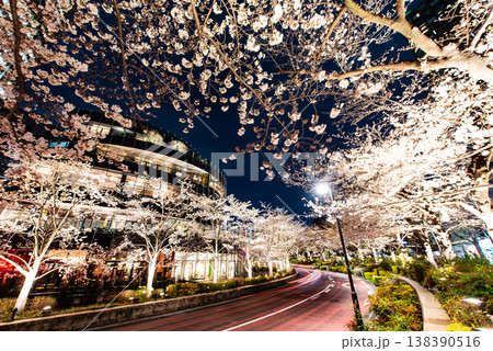 夜桜 ~東京・東京ミッドタウン・14~ 夜桜 ~東京・東京ミッドタウン・14~ 138390516