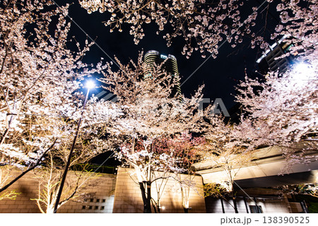 夜桜　～東京・アークヒルズ赤坂・2～ 138390525