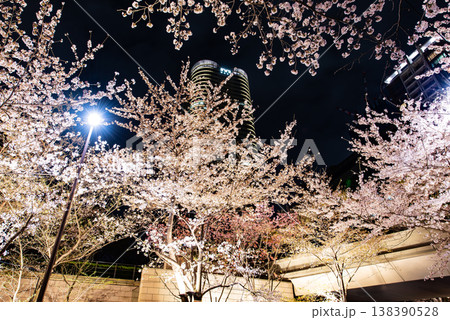 夜桜　～東京・アークヒルズ赤坂・4～ 138390528