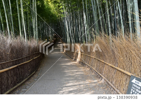 日本の春の京都　嵐山周辺の街並み　観光名所の竹林の小径　沢山の竹に囲まれた神秘的な小道 138390938