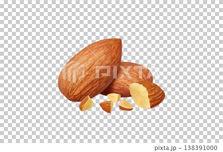 Almond illustration real 138391000
