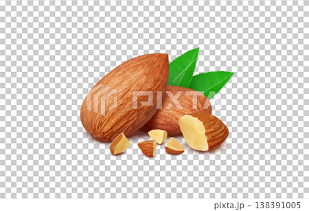 Almond illustration real Almond illustration real 138391005