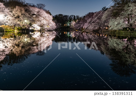 夜桜　～東京・井の頭公園・1～ 138391311