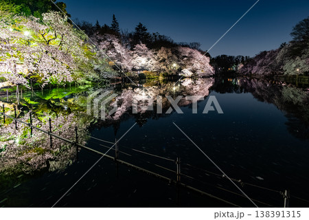 夜桜　～東京・井の頭公園・5～ 138391315