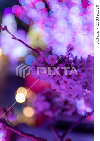 夜桜　～東京・よみうりランド・5～ 138391320