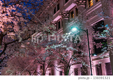 夜桜　～東京・江戸桜通り・1～ 138391321
