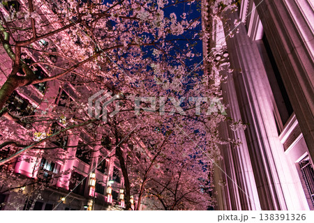 夜桜　～東京・江戸桜通り・9～ 138391326