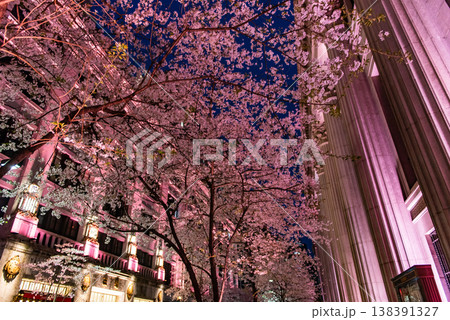 夜桜 ~東京・江戸桜通り・10~ 夜桜 ~東京・江戸桜通り・10~ 138391327