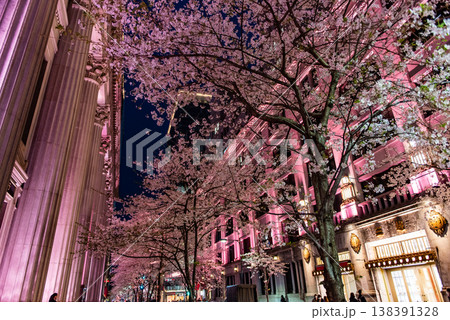 夜桜　～東京・江戸桜通り・11～ 138391328