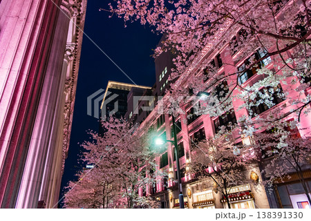 夜桜 ~東京・江戸桜通り・2~ 夜桜 ~東京・江戸桜通り・2~ 138391330