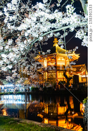 夜桜　～東京・上野公園・1～ 138391333
