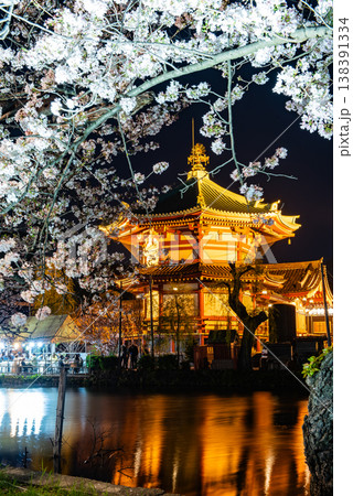 夜桜　～東京・上野公園・2～ 138391334