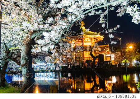夜桜　～東京・上野公園・3～ 138391335