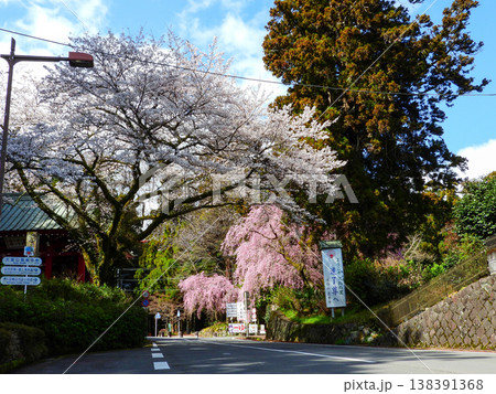 南足柄市　道了尊仁王門の春景 138391368
