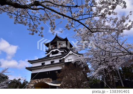 日本の愛知県の犬山市 春の犬山城と満開の桜 日本最古の国宝天守と美しい青空 日本の愛知県の犬山市 春の犬山城と満開の桜 日本最古の国宝天守と美しい青空 138391401
