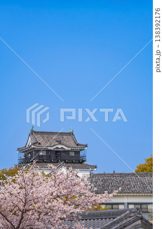 春の岡崎城、満開の桜〈愛知県岡崎市〉 春の岡崎城、満開の桜〈愛知県岡崎市〉 138392176