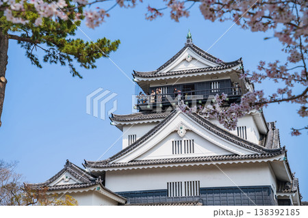 春の岡崎城、満開の桜〈愛知県岡崎市〉 138392185