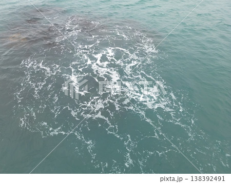 海 海 138392491