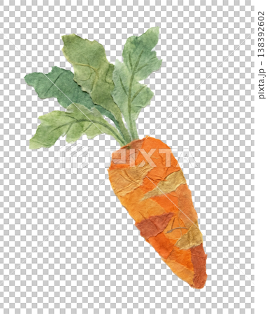 胡蘿蔔插畫 | 和紙拼貼風格，手工製作的天然材料 138392602