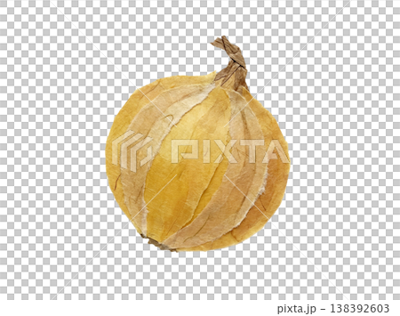 洋蔥插畫 | 和紙拼貼風格，柔和的手工質感 138392603