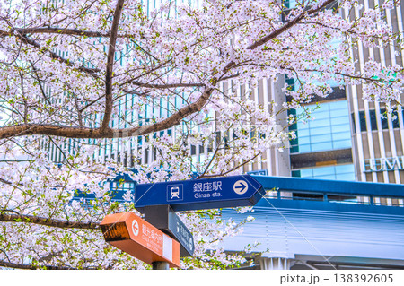 日本の東京都市景観4月1日。有楽町マリオン（画面奥）や中央区立数寄屋橋公園の桜などを望む 138392605