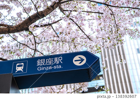 日本の東京都市景観4月1日。有楽町マリオン(画面奥)や中央区立数寄屋橋公園の桜などを望む 日本の東京都市景観4月1日。有楽町マリオン(画面奥)や中央区立数寄屋橋公園の桜などを望む 138392607