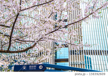 日本の東京都市景観4月1日。有楽町マリオン(画面奥)や中央区立数寄屋橋公園の桜などを望む 日本の東京都市景観4月1日。有楽町マリオン(画面奥)や中央区立数寄屋橋公園の桜などを望む 138392609