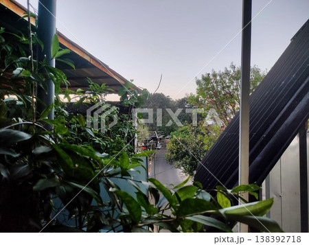 Green leafy plants frame a quiet street view under the soft light of the early evening sky 138392718