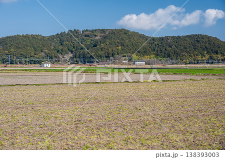 近江平野の広々とした田園風景　滋賀県近江八幡市安土 138393003