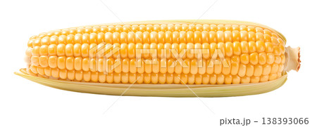 トウモロコシのイラスト素材 138393066