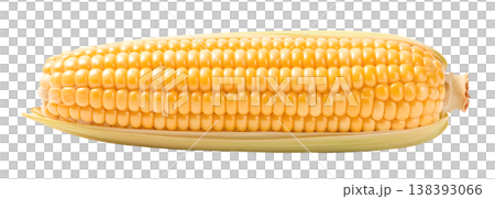 トウモロコシのイラスト素材 138393066