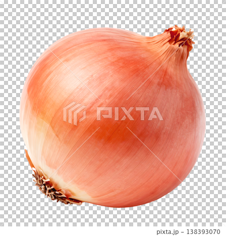 Onion illustration 138393070