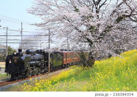 秩父鉄道「桜と菜の花咲く桜堤とSLパレオエクスプレス号」 138394354