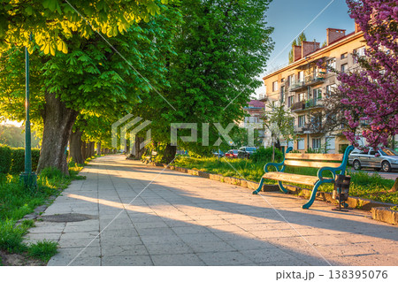 area of the old city park. lantern near wooden bench under lush chestnut trees along wide walking path in morning light. empty urban landscape in springtime. cozy place in uzhhorod, ukraine area of the old city park. lantern near wooden bench under lush chestnut trees along wide walking path in morning light. empty urban landscape in springtime. cozy place in uzhhorod, ukraine 138395076