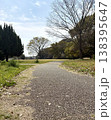 木々に囲まれた公園の散歩道 138395647