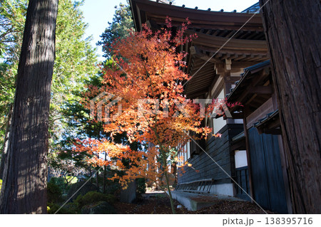 長円寺の紅葉 長円寺の紅葉 138395716