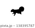台湾リスのシルエット 138395787