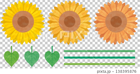 向日葵和葉子/裝飾線材料套裝：適用於夏季標題和橫幅的植物插圖 138395876