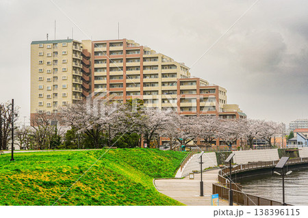 桜が咲く広い遊歩道とマンション 桜が咲く広い遊歩道とマンション 138396115