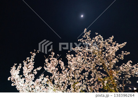 夜桜 月 春 夜空 桜 日本の春 花見 満月 夜景 桜の花 日本風景 春素材 夜桜 月 春 夜空 桜 日本の春 花見 満月 夜景 桜の花 日本風景 春素材 138396264