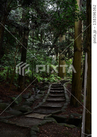 森の小道 森の小道 138396362