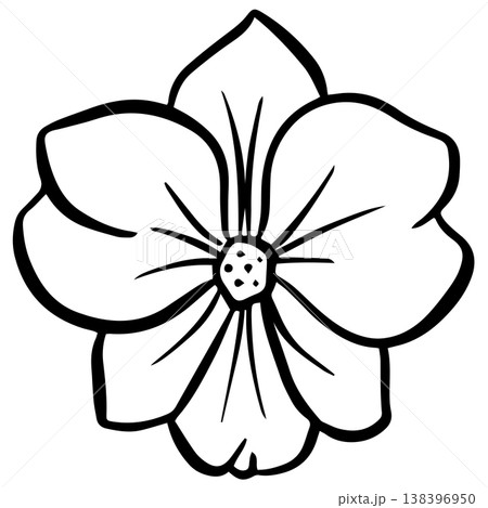 Simple floral flower heads wildflower outline clipart vector illustration 138396950