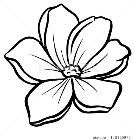 Simple floral flower heads wildflower outline clipart vector illustration Simple floral flower heads wildflower outline clipart vector illustration 138396976