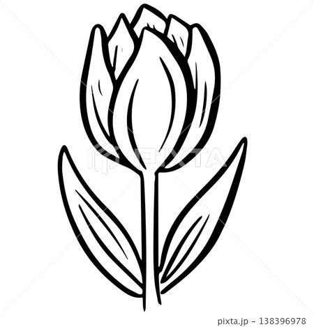 Simple floral flower heads wildflower outline clipart vector illustration Simple floral flower heads wildflower outline clipart vector illustration 138396978